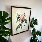 Vintage wanddecoratie natuur / bloem / roos, Antiek en Kunst, Antiek | Overige Antiek, Ophalen of Verzenden
