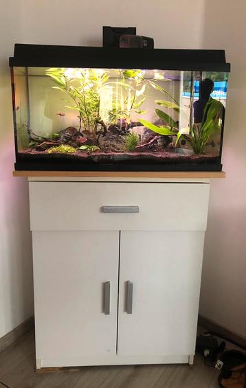 JUWEL aquarium 120l compleet beschikbaar voor biedingen