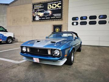 Ford USA Mustang mach 1 tribute