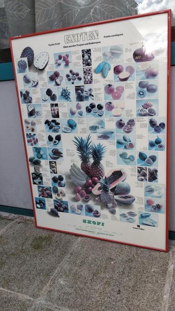 Teubner mooie ingelijste poster exotisch fruit beschikbaar voor biedingen