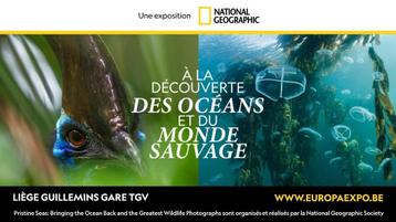 12€ les 2 entrées Expo NATIONAL GEOGRAPHIC Liège > 28/09/25 beschikbaar voor biedingen