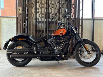 Harley-Davidson Chopper Softail Street bob FXBBS (bj 2021) beschikbaar voor biedingen