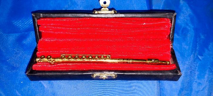 Petite flûte/piccolo dans son étui d'origine, Musique & Instruments, Instruments à vent | Flûtes traversières & Piccolos, Comme neuf