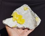 Minerale collectie - Fluoriet, opaal..., Verzenden, Mineraal