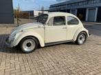 Volkswagen kever 1967 1200cc Cox cal look, Auto's, Overige modellen, Particulier, Te koop, Benzine