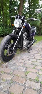 SUZUKI VX 800, Motoren, Cardan-aandrijving, 2 cilinders, Meer dan 35 kW, 800 cc
