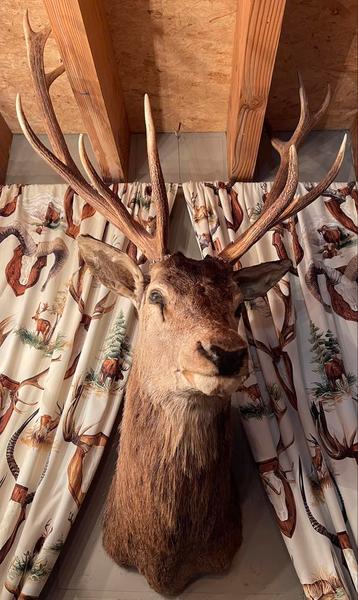 Belle tête de cerf en peluche plus grande et taxidermie 