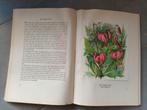 Artis Bloemen uit de bergen, Boeken, Prentenboeken en Plaatjesalbums, Ophalen of Verzenden, Gelezen, Artis Historia, Prentenboek