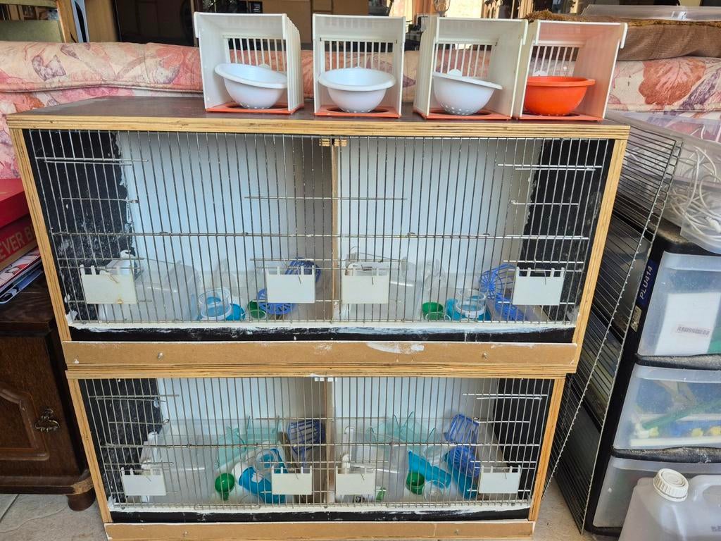 Kweekkooien, Ophalen