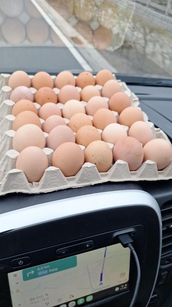 Broedeieren, Ophalen