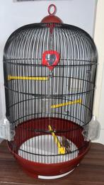 Mandarin avec cage, Enlèvement, Comme neuf, Cage à oiseaux