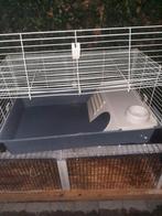 Cavia/ konijnen ren, Dieren en Toebehoren, Ophalen, Ren, Cavia