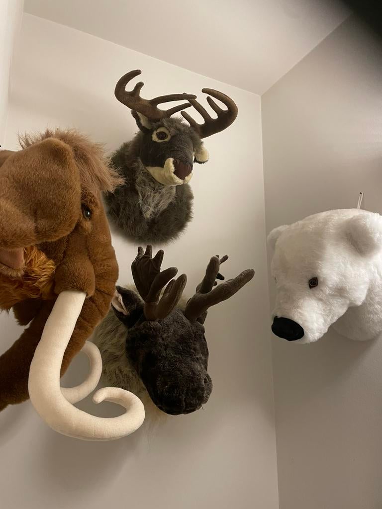 7 pluchen dierenkoppen , passen samen qua grootte, Ophalen of Verzenden, Zo goed als nieuw