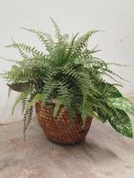 Gevlochten mand/bloempot van waterhyacint., Mand, Rond, Ophalen of Verzenden, Zo goed als nieuw