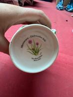 Mooie porseleinen kopjes in New Bone China, Ophalen