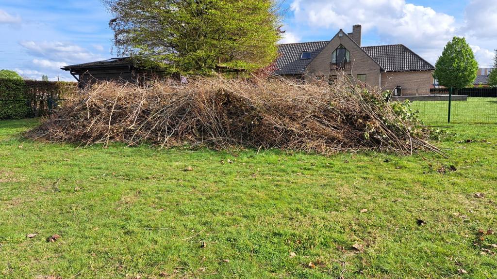 Gratis snoeihout, Enlèvement, Autres essences de bois, Branches