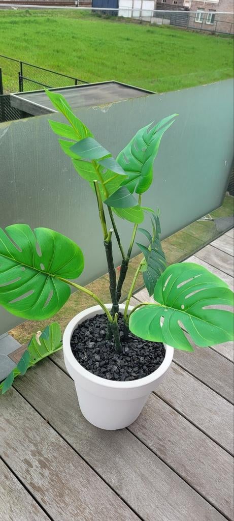 Gratis kunstplanten, Jardin & Terrasse, Enlèvement