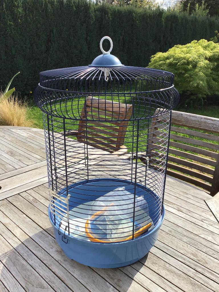 Cage à oiseaux, Enlèvement, Utilisé, Cage à oiseaux