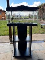 Aquarium 50lt, Enlèvement, Comme neuf