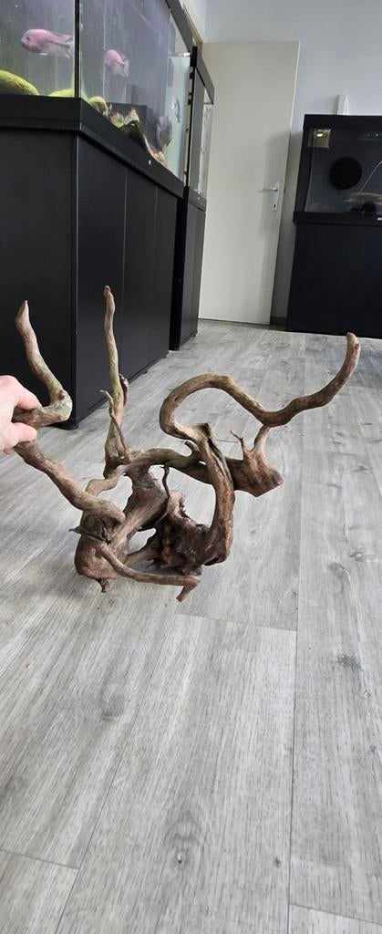 Heel mooi middelgroot stuk spider hout voor aquarium, Ophalen