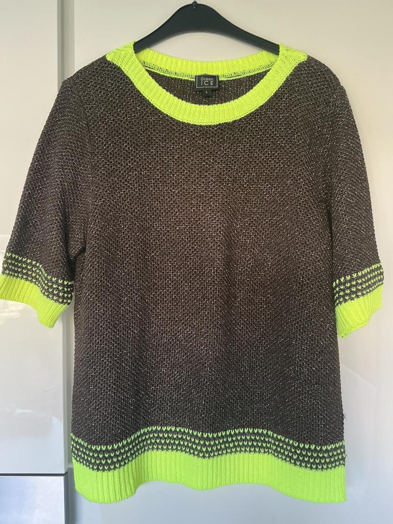 Mooie trui van green ice, Kleding | Dames, Truien en Vesten, Ophalen of Verzenden, Zo goed als nieuw, Maat 42/44 (L), Bruin