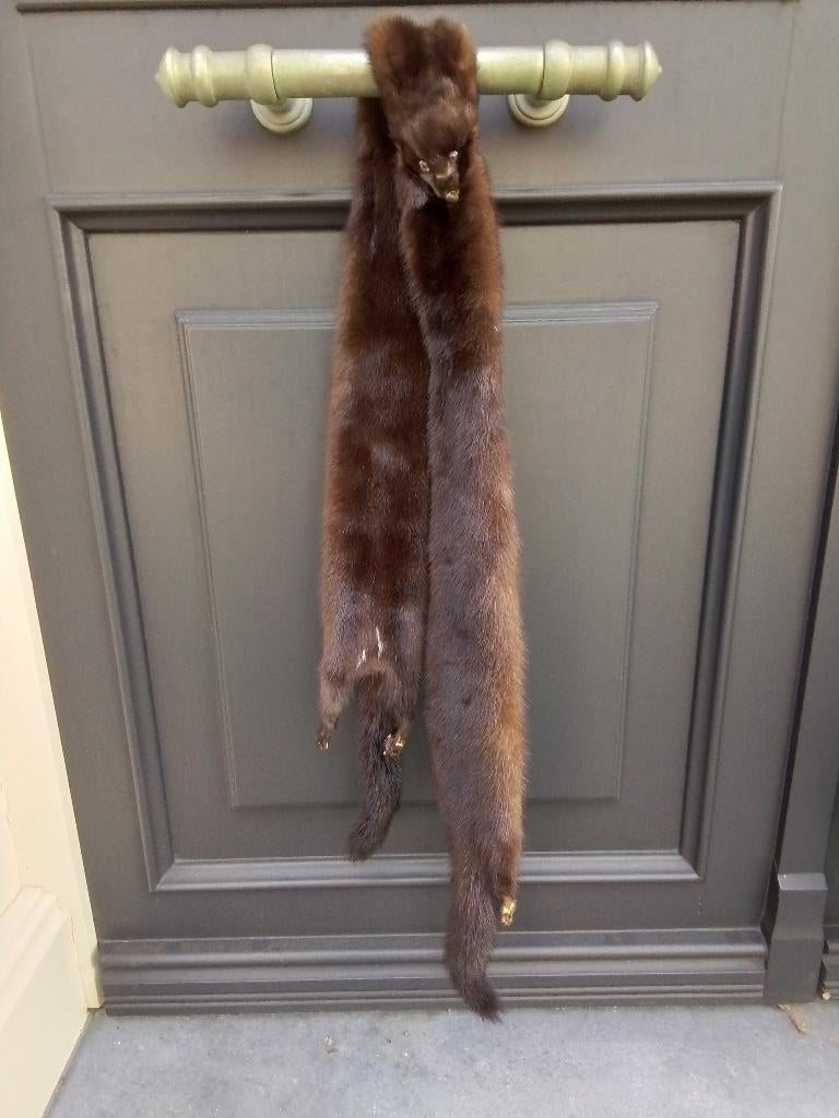 nerts, Vêtements | Femmes, Bonnets, Écharpes & Gants, Enlèvement, Comme neuf