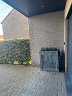 Bloempot / plantenbak groot voor buiten, Immo