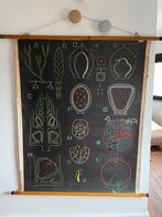 Grande carte de l'ancienne école, Antiquités & Art, Antiquités | Cartes scolaires, Enlèvement ou Envoi, Nature et Biologie