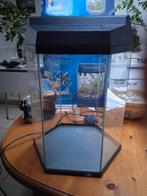 Aquarium hexagonal - 21,6l - avec pompe, Animaux & Accessoires, Enlèvement, Utilisé, Aquarium vide