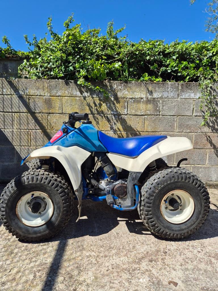 Suzuki LT80, Motos, 80 cm³