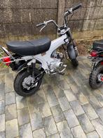 Dax  , monkey, Fietsen en Brommers, Brommers | Honda, Ophalen, Zo goed als nieuw