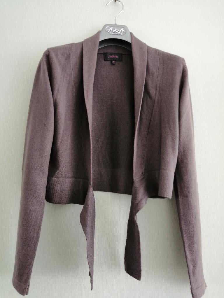 mooie gilet Melvin maat 36, Kleding | Dames, Overige kleuren, Verzenden, Melvin, Maat 36 (S)