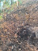 paardenmest gratis te Baarle Nassau, Tuin en Terras, Ophalen