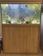 Aquarium 240L, Ophalen, Gebruikt, Leeg aquarium