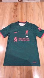 maillot, Vêtements | Hommes, Vêtements de sport, Football, Enlèvement ou Envoi, Nike, Vert