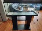 Aquarium, Animaux & Accessoires, Poissons | Aquariums & Accessoires, Enlèvement, Utilisé, Aquarium vide