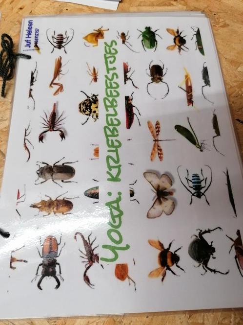 Thema insecten Thema doos kleuterklas - Yoga - Memory - spel, Enfants & Bébés, Jouets | Éducatifs & Créatifs, Comme neuf, Enlèvement