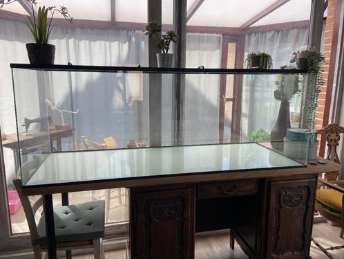 Terrarium 160x60x59cm voor muizen, hamster, gerbils,…, Dieren en Toebehoren, Knaagdieren en Konijnen | Hokken en Kooien, Zo goed als nieuw
