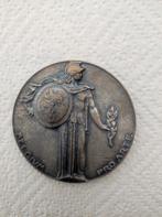 Medaille Pro Arte, Ophalen of Verzenden