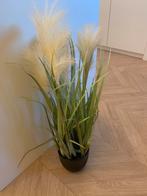 Nepplant gras met pampas, Huis en Inrichting, Ophalen, Zo goed als nieuw