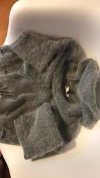 Pull court (28cm) 50% angora gris tout doux à capuche, Kleding | Dames, Zo goed als nieuw