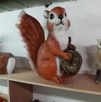 Eekhoorn, Ophalen