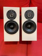 Totem Dreamcatcher monitor, Ophalen, Gebruikt