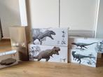Nanmu dinosaurussen, Ophalen of Verzenden, Zo goed als nieuw