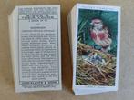 Birds & Their Young complete set 50 chromos vogels 1937, Verzamelen, Foto's en Prenten, Ophalen of Verzenden, Voor 1940, Dier