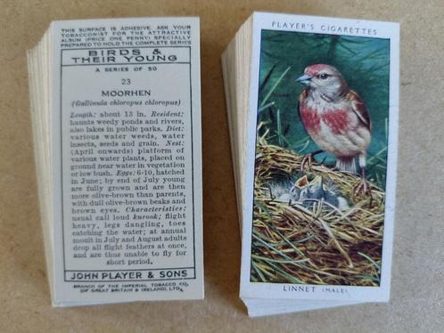 Birds & Their Young complete set 50 chromos vogels 1937, Verzamelen, Foto's en Prenten, Dier, Voor 1940, Ophalen of Verzenden
