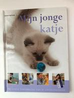 K. Dennis-Bryan - Mijn jonge katje, Boeken, Dieren en Huisdieren, Ophalen of Verzenden, Nieuw, Katten, K. Dennis-Bryan
