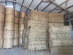 Platte en ronde balen mooi hooi, Animaux & Accessoires, Nourriture pour Animaux, Enlèvement ou Envoi, Autres espèces