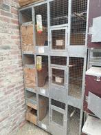 Box élevage petit perroquet, Animaux & Accessoires, Oiseaux | Cages & Volières, Comme neuf, Enlèvement ou Envoi