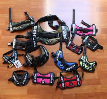 Julius hondentuigje beschikbaar voor biedingen